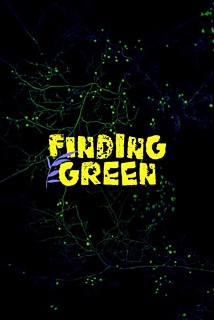 Finding Green